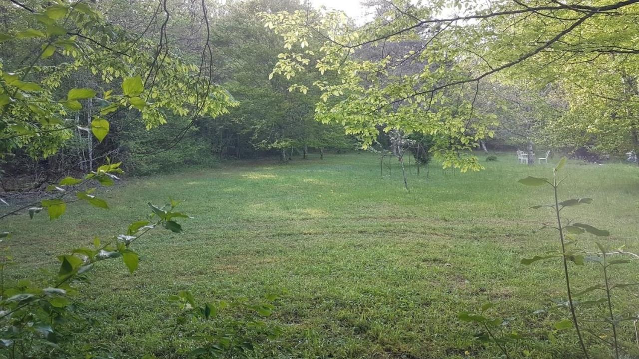 Lovely 2-Bed Shepherds Hut In A Forest Sougeres-en-Puisaye 외부 사진